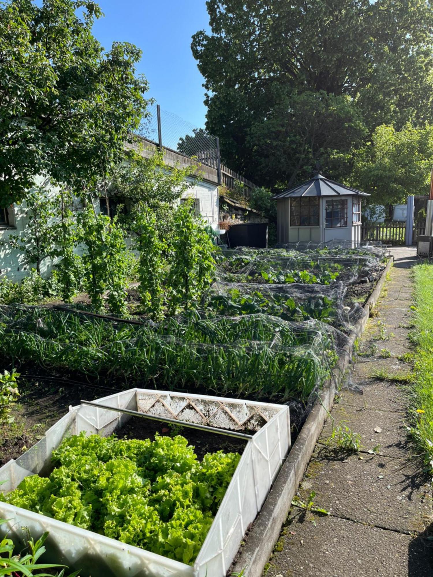 Ferienwohnung Auf Bauernhof Mit Hotpot Und Sauna Sumiswald Bagian luar foto